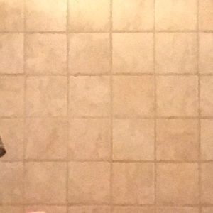 Meet your Posher, Jade